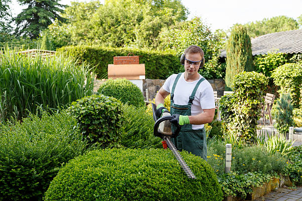 Lawn Pest Prevention in Picnic Point, WA